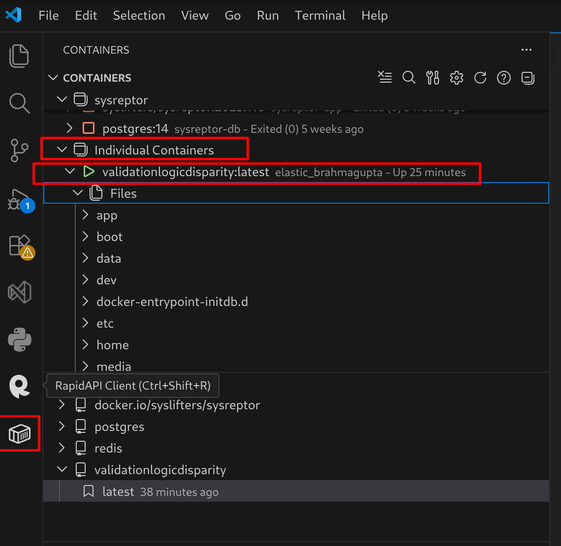 Browse files inside a running container from the VS Code Containers panel